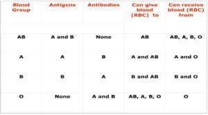 Blood Type and Crossmatch